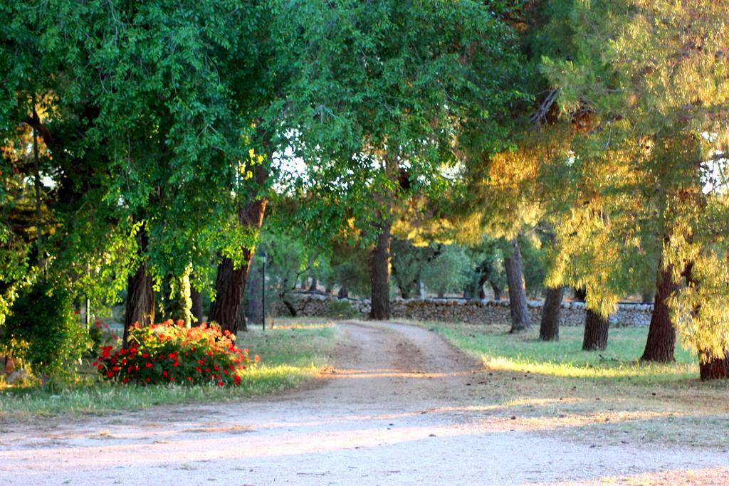 Masseria Gianecchia Cisternino Εξωτερικό φωτογραφία