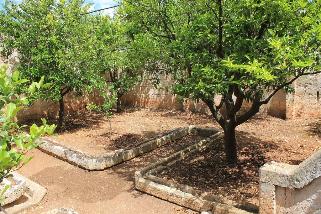 Masseria Gianecchia Cisternino Εξωτερικό φωτογραφία