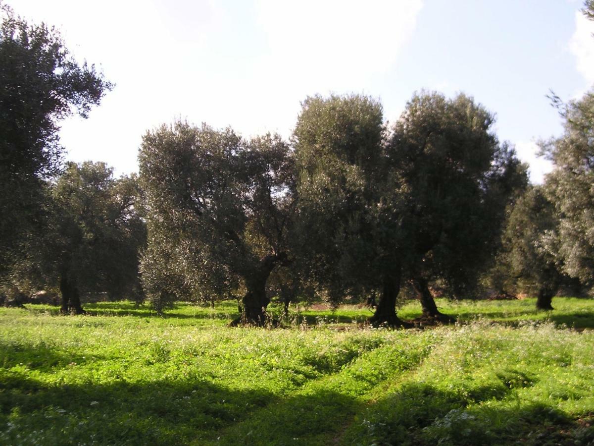 Masseria Gianecchia Cisternino Εξωτερικό φωτογραφία